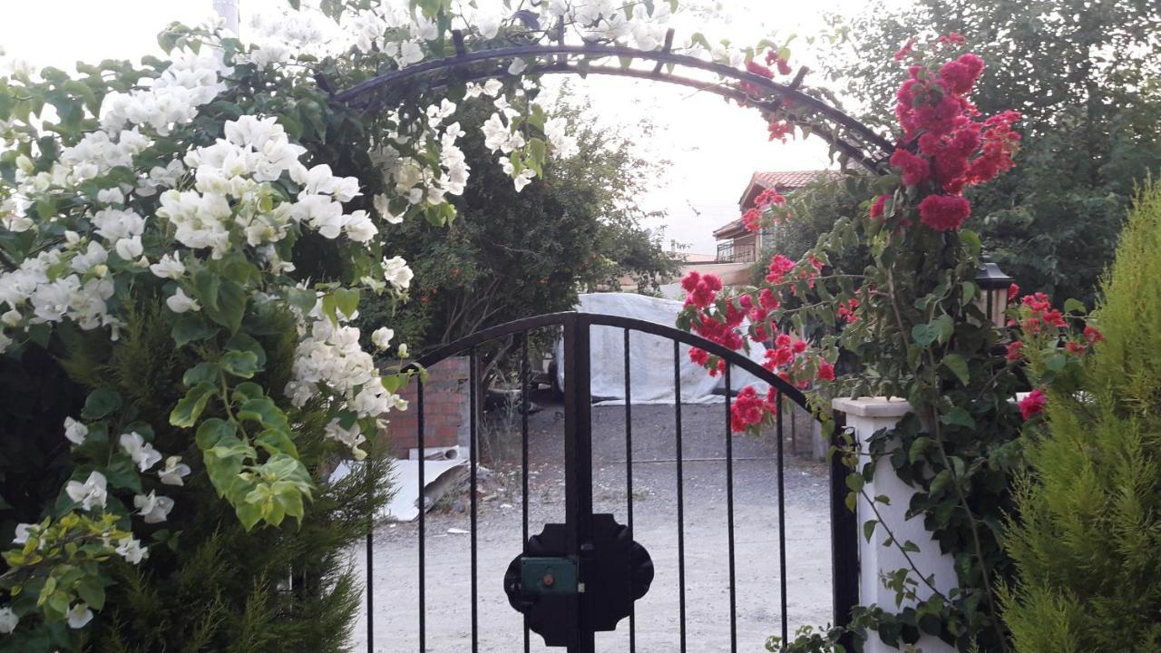Villa Ebrar Dalyan Muğla Bagian luar foto