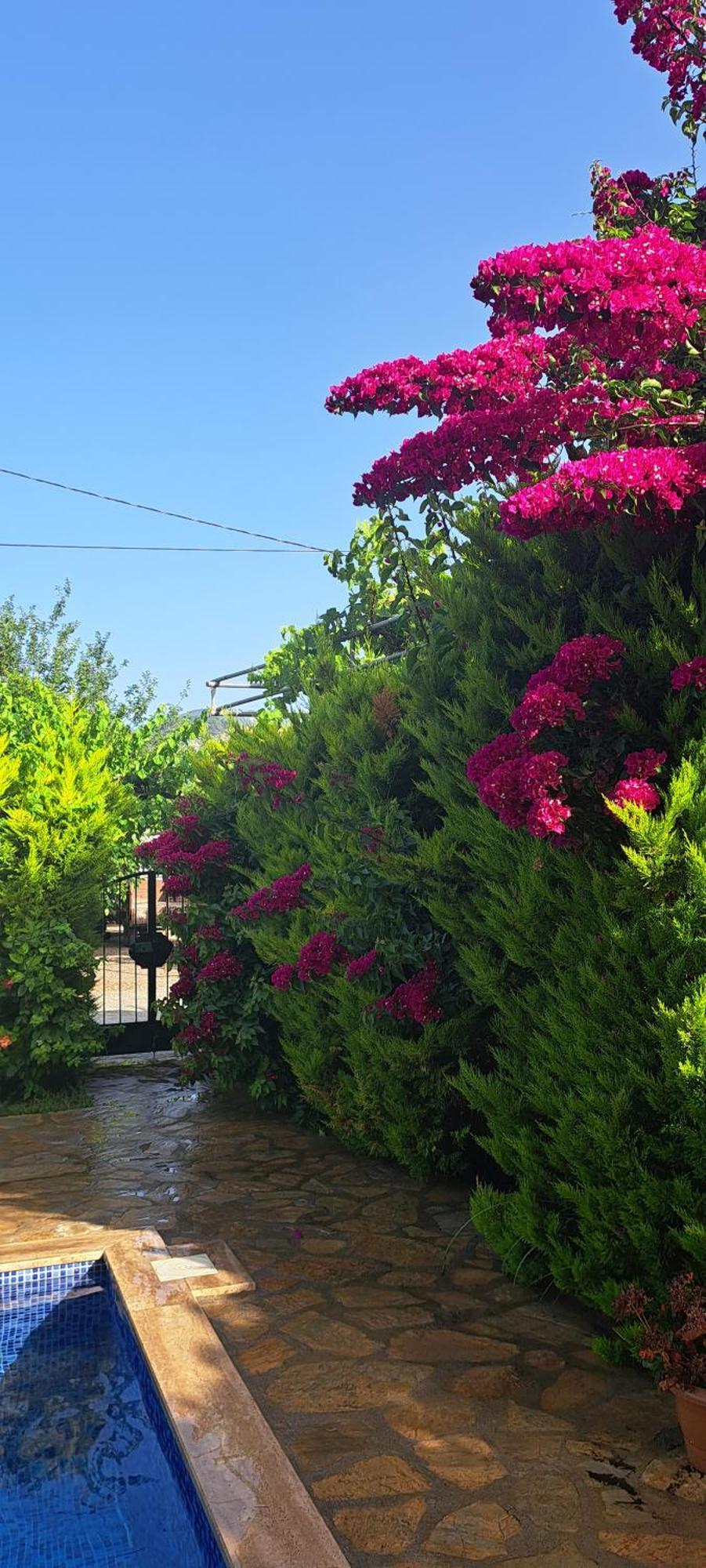 Villa Ebrar Dalyan Muğla Bagian luar foto